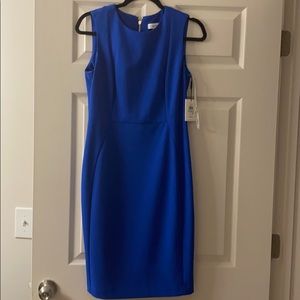 Calvin Klein Sheath Dress NWT
